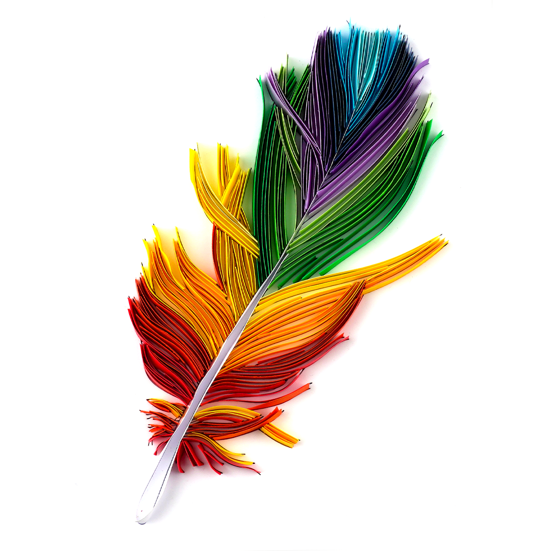 Colorful Feather (10*8 inch)